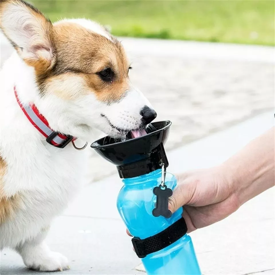 BOTELLA DE AGUA DE PASEO PARA MASCOTAS 500ML - 3