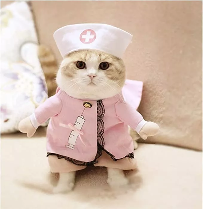 DISFRAZ PERROS GATOS ENFERMERA DEFENSOR FOREVER ROSADO TALLA L - 5