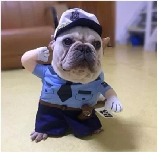DISFRAZ PERROS GATOS POLICIA DEFENSOR FOREVER TALLA S - 5