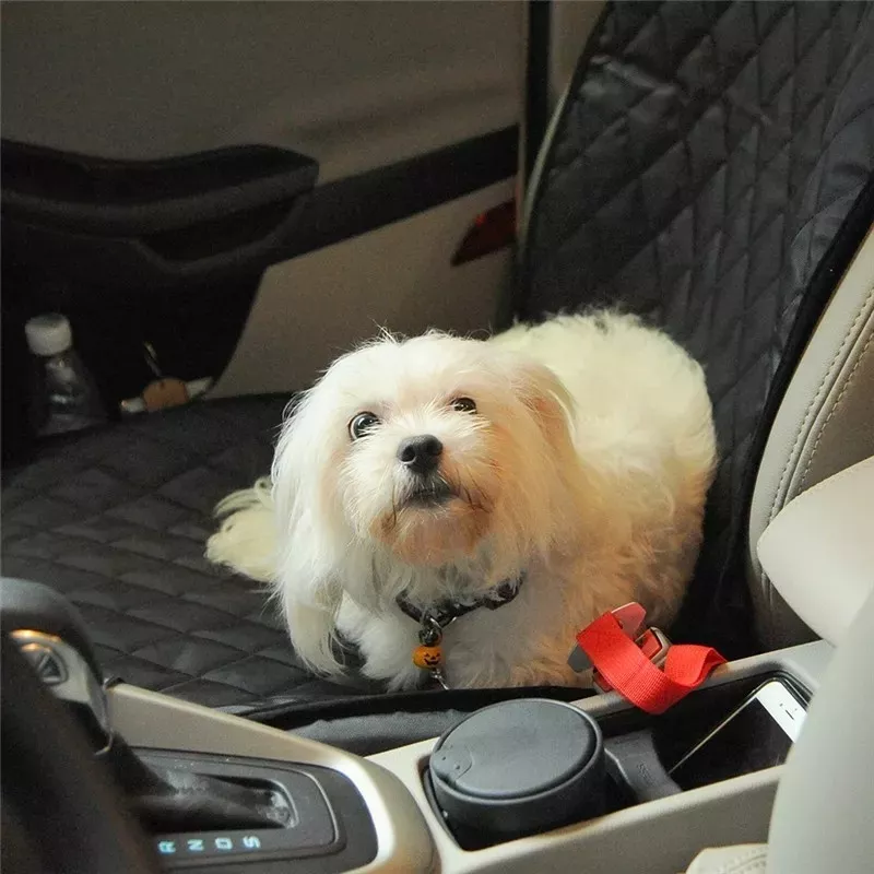 CUBRE ASIENTO DEFENSOR FOREVER PARA MASCOTAS (FUNDA PROTECTORA PARA AUTOS) COLOR NEGRO - 3