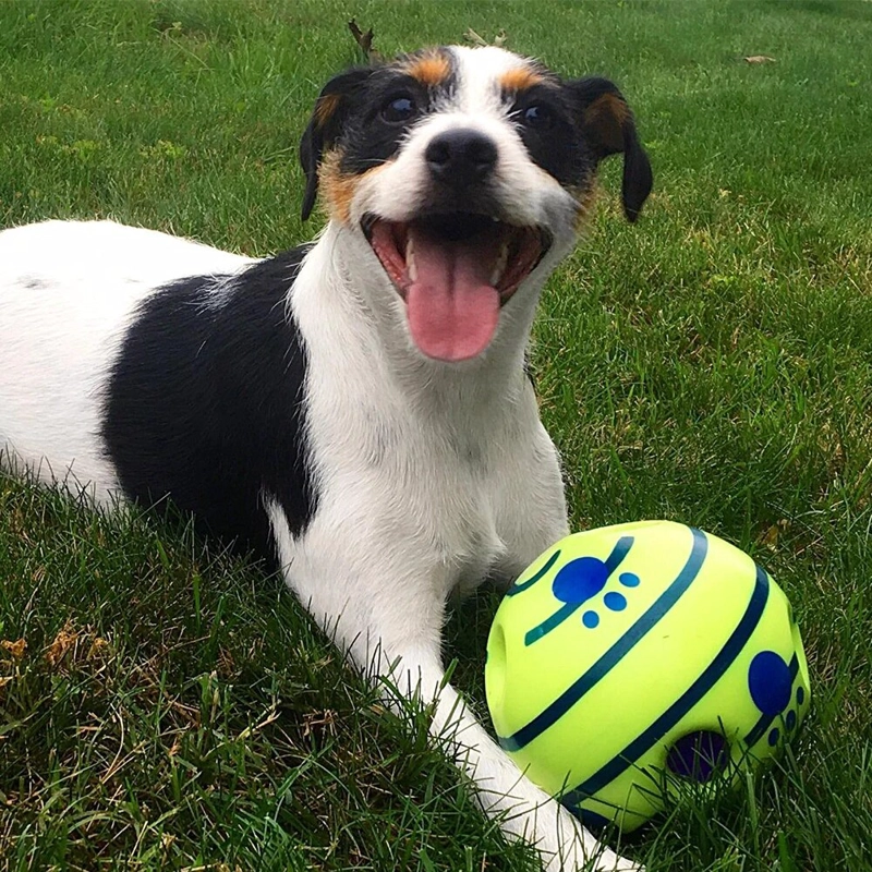 JUGUETE PELOTA CON SONIDOS PARA PERROS MASCOTAS - 3