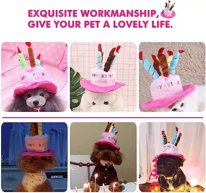GORRO PERROS GATOS CUMPLEAÑOS DEFENSOR FOREVER ROSADO - 2