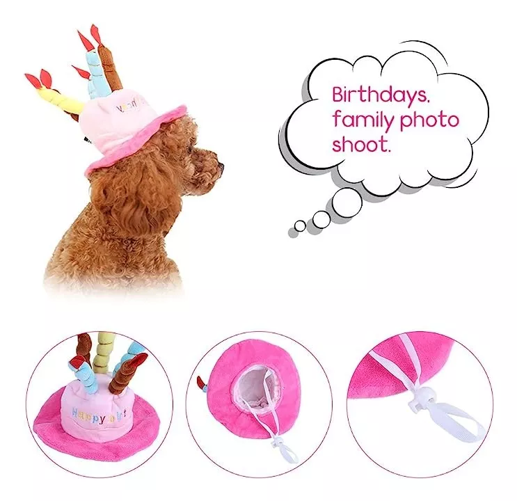 GORRO PERROS GATOS CUMPLEAÑOS DEFENSOR FOREVER ROSADO - 5