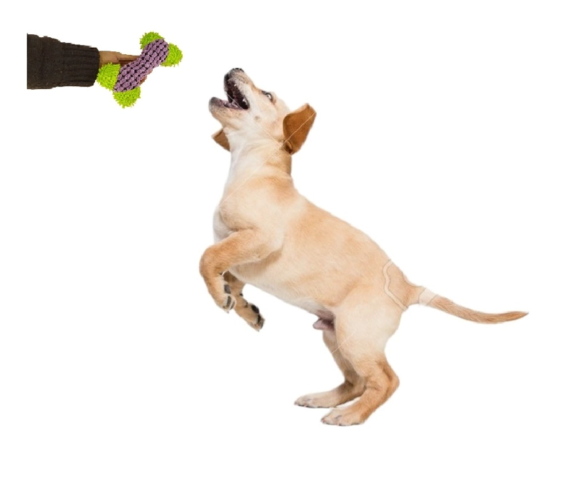 PELUCHE PARA MASCOTA SONORO CON FORMA DE HUESO - 3