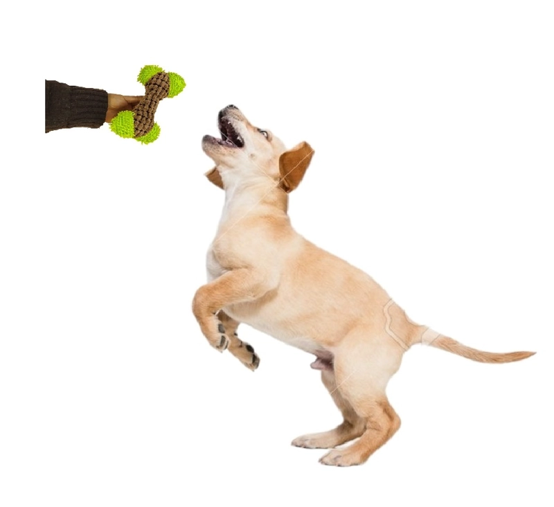 PELUCHE PARA MASCOTA SONORO CON FORMA DE HUESO - 3