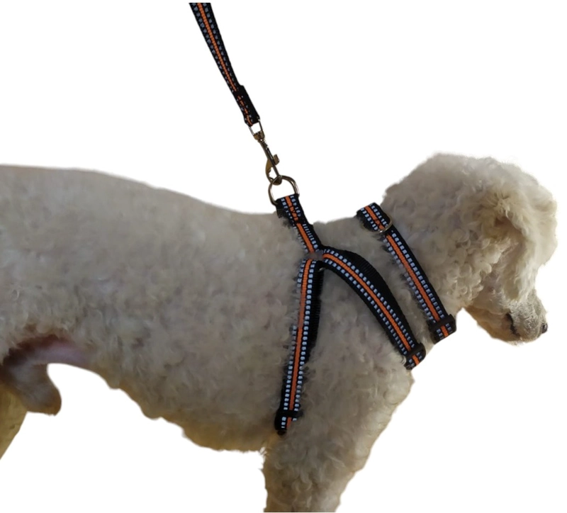 CORREA, ARNE S Y COLLAR PARA PERROS PEQUEÑOS TALLA  S - 2