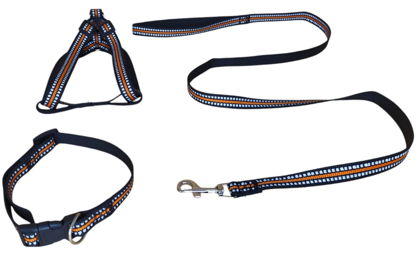 CORREA, ARNÉS Y COLLAR PARA PERROS PEQUEÑOS TALLA S - 3