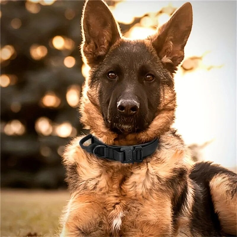 COLLAR TÁCTICO, PARA PERROS REFORZADO AJUSTABLE, TALLA XL - 5