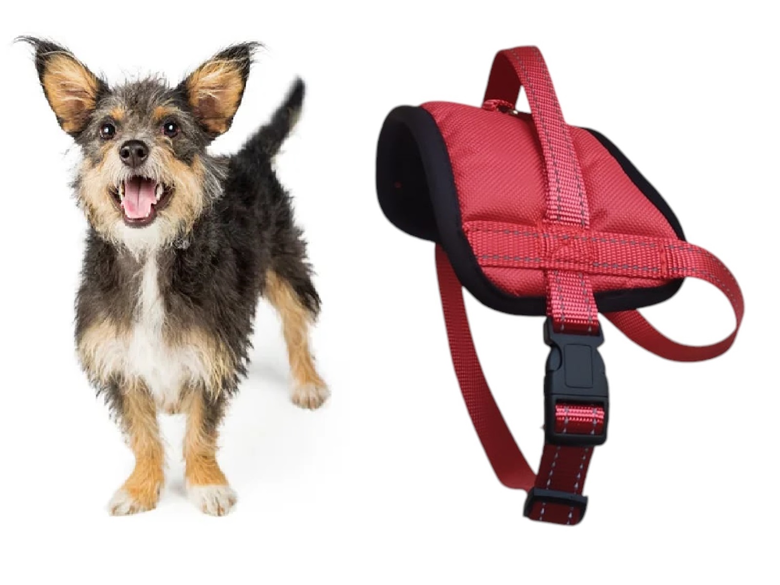 ARNÉS TALLA S, AJUSTABLE PARA PERROS, MASCOTAS, REFLECTANTE - 3