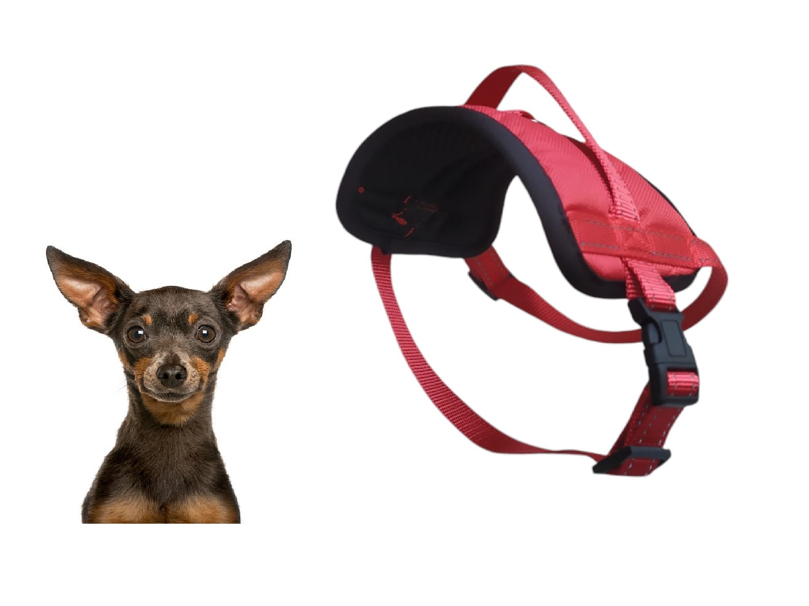 ARNÉS TALLA S, AJUSTABLE PARA PERROS, MASCOTAS, REFLECTANTE - 4