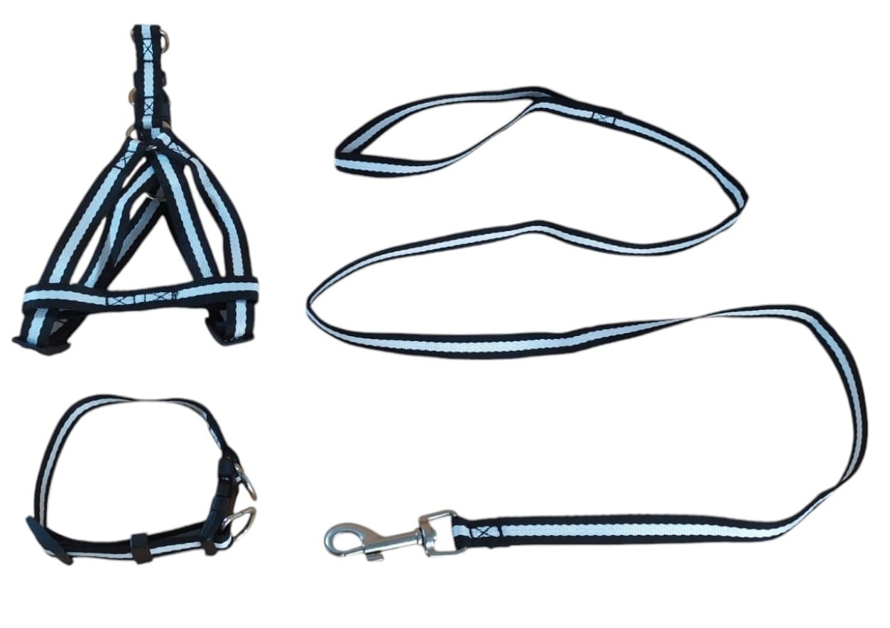 CORREA, ARNÉS Y COLLAR PARA PERROS DE RAZAS PEQUEÑAS - 2