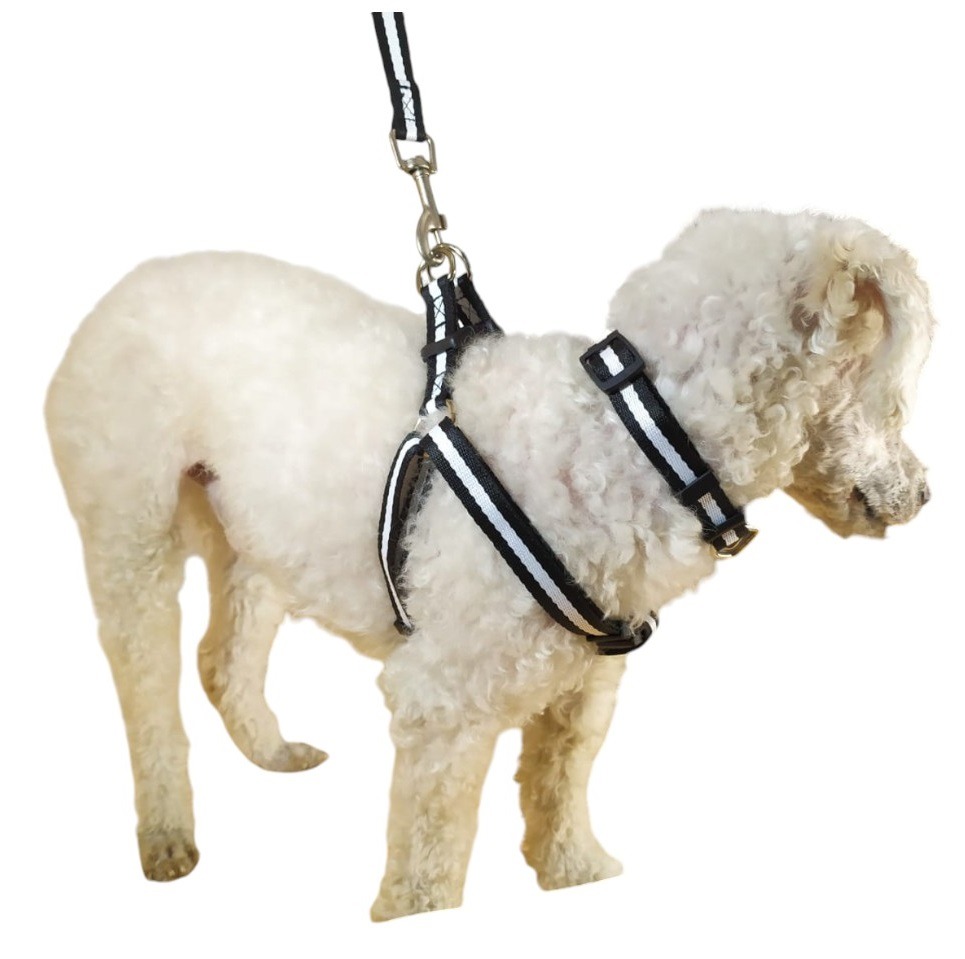 CORREA, ARNÉS Y COLLAR PARA PERROS DE RAZAS PEQUEÑAS - 4