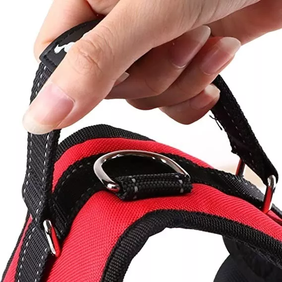 ARNÉS TALLA L, AJUSTABLE PARA PERROS MASCOTAS PASEO - 3