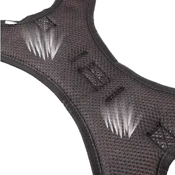 ARNÉS TALLA L, AJUSTABLE PARA PERROS MASCOTAS PASEO - 4