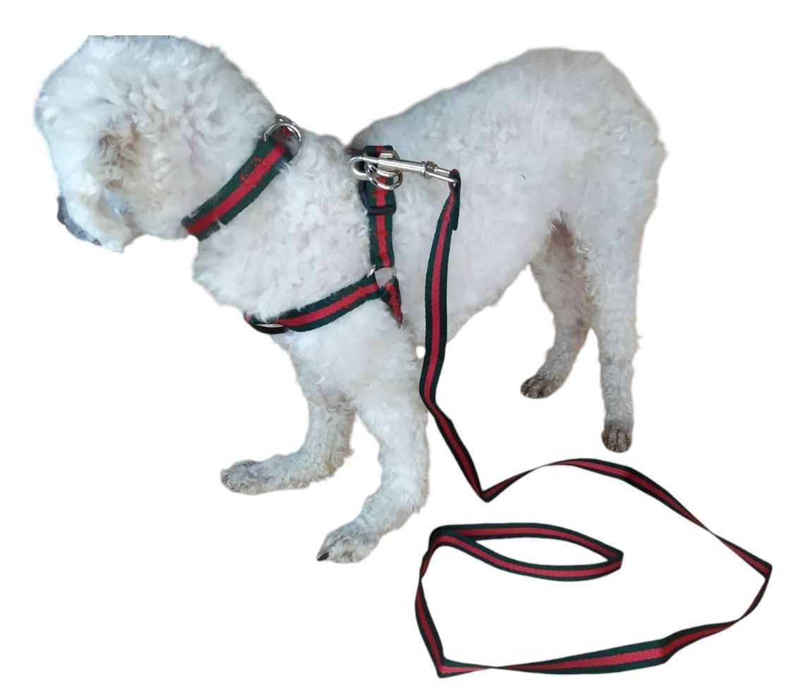 CORREA, ARNÉS Y COLLAR PARA PERROS DE RAZAS PEQUEÑAS - 3