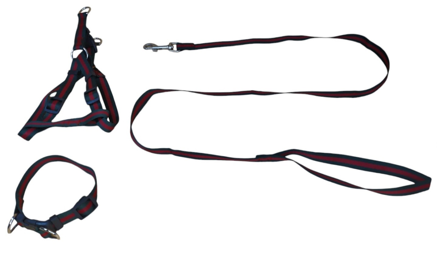 CORREA, ARNÉS Y COLLAR PARA PERROS DE RAZAS PEQUEÑAS - 4