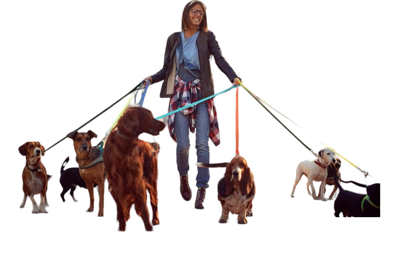 CORREA PLANA LARGA RESISTENTE PARA PERROS 4,5 METROS X 2,5CM - 2