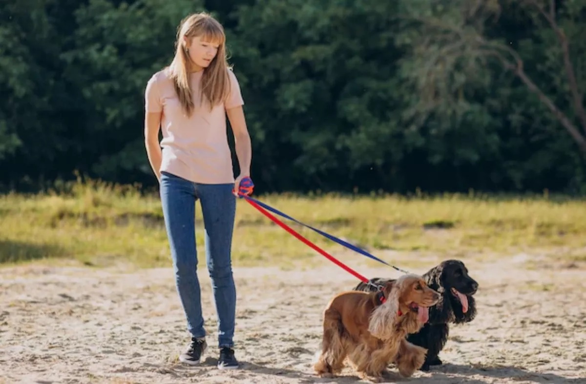 CORREA PLANA LARGA RESISTENTE PARA PERROS 4,5 METROS X 2,5CM - 4
