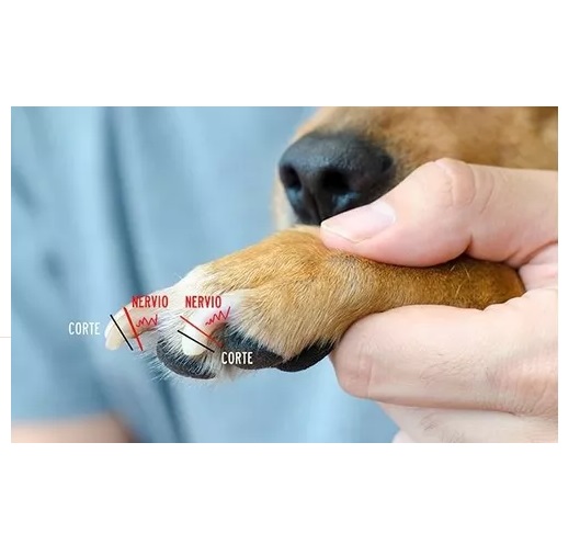 CORTA UÑAS PERROS, GATOS CONEJO TIPO ALICATE + LIMA DE UÑAS - 6