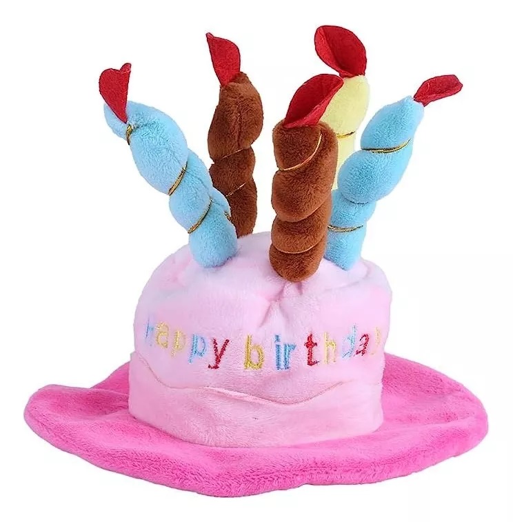 GORRO DE CUMPLEAÑOS PARA GATOS, PERROS, MASCOTAS. - 2