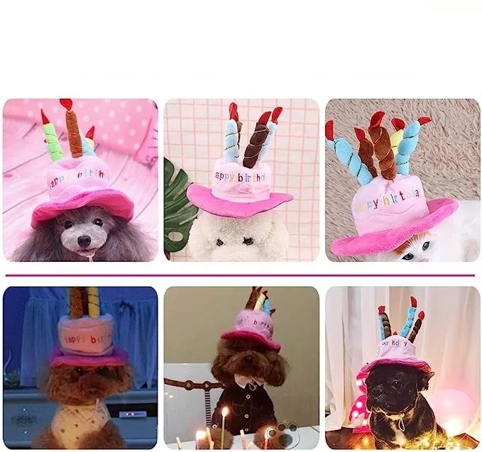 GORRO DE CUMPLEAÑOS PARA GATOS, PERROS, MASCOTAS. - 3