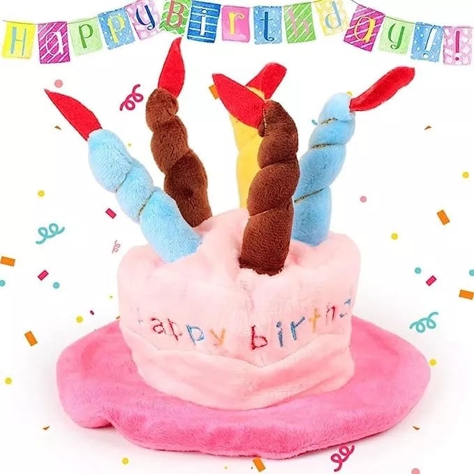 GORRO DE CUMPLEAÑOS PARA GATOS, PERROS, MASCOTAS. - 5