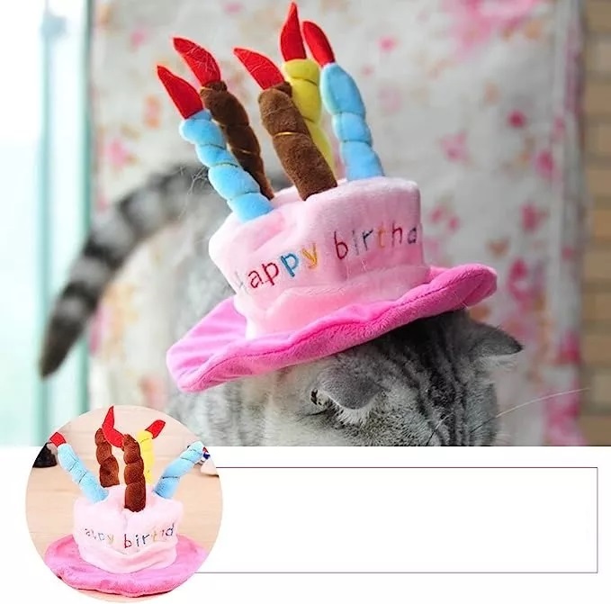 GORRO DE CUMPLEAÑOS PARA GATOS, PERROS, MASCOTAS. - 7
