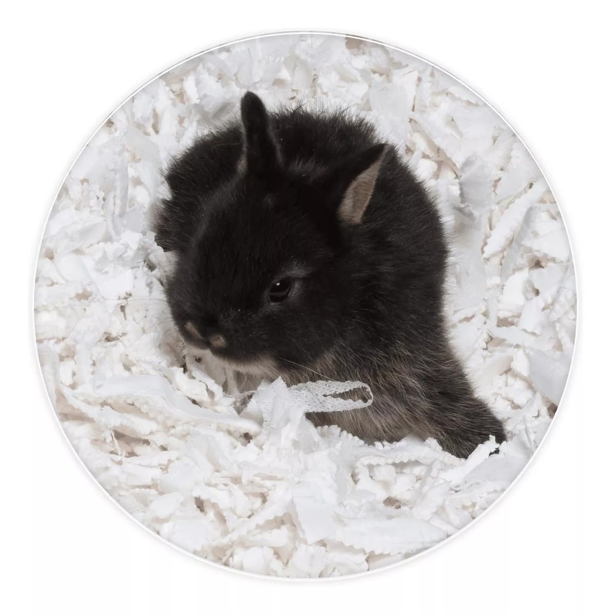 SUSTRATO DE PAPEL PREMIUM 900G HAMSTER CONEJOS ERIZOS RATÓN - 2