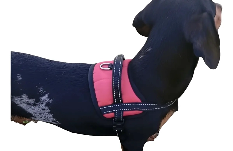 ARNE S AJUSTABLE PARA PERROS MASCOTAS REFLECTANTE TALLA S - 1