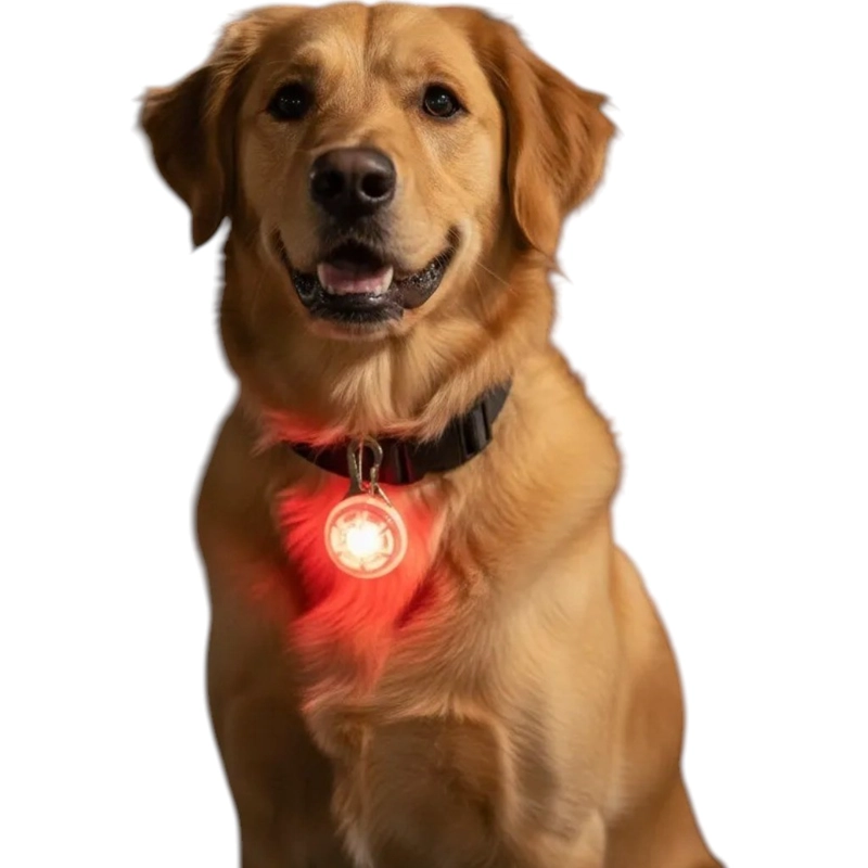 X3 LUZ LED PARA COLLAR DE MASCOTAS PASEOS NOCTURNO PERROS - 3