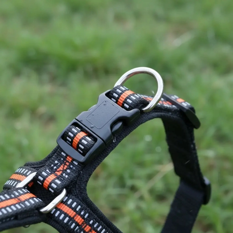 X3 CORREA, ARNE S Y COLLAR PARA PERROS PEQUEÑOS TALLA S - 3