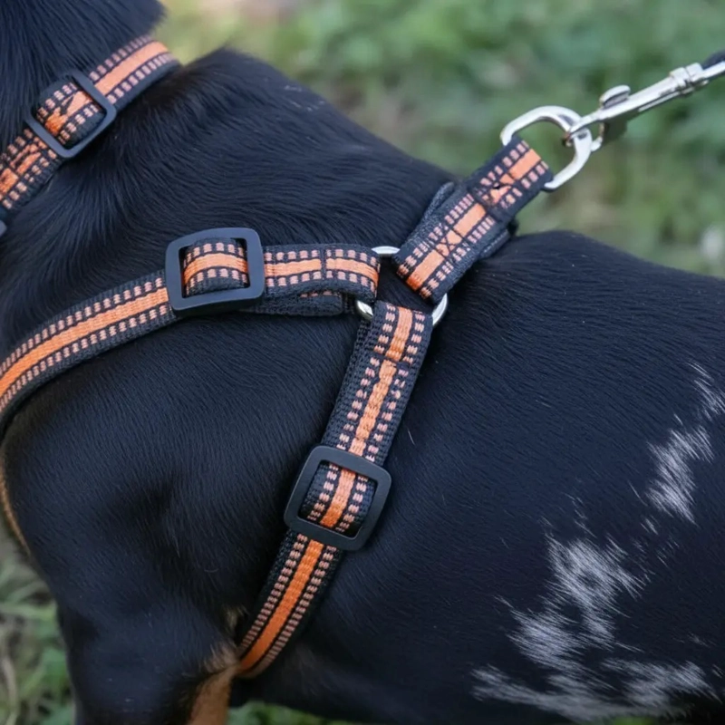 X3 CORREA, ARNE S Y COLLAR PARA PERROS PEQUEÑOS TALLA S - 4