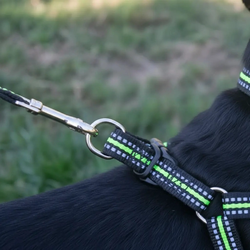 X3 CORREA, ARNE S Y COLLAR PARA PERROS PEQUEÑOS TALLA S - 6