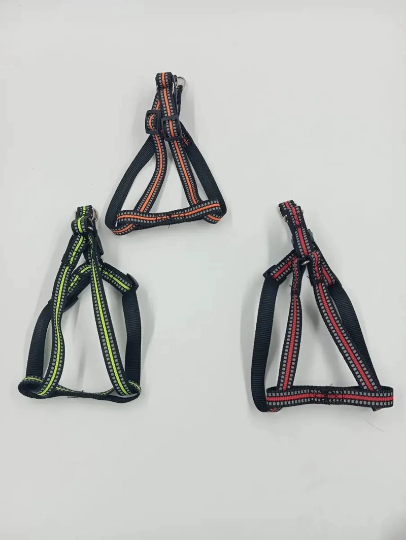 X3 CORREA, ARNE S Y COLLAR PARA PERROS PEQUEÑOS TALLA S - 9