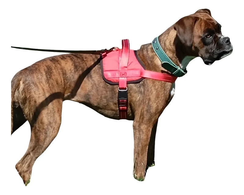 ARNE S TALLA L, AJUSTABLE PARA PERROS MASCOTAS PASEO ROJO - 1