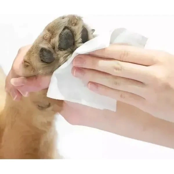 TOALLAS HUMEDAS X3 PARA CUIDAR A MASCOTAS PERROS GATOS 240 U - 2