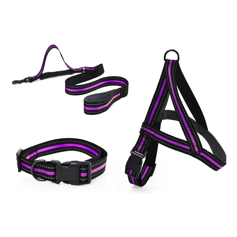 CORREA + COLLAR +ARNE S PARA MASCOTAS, PERROS TALLA S - 1