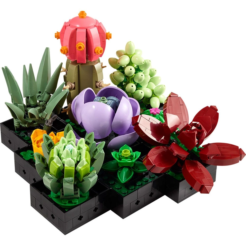 LEGO 10309 SUCULENTAS - 2