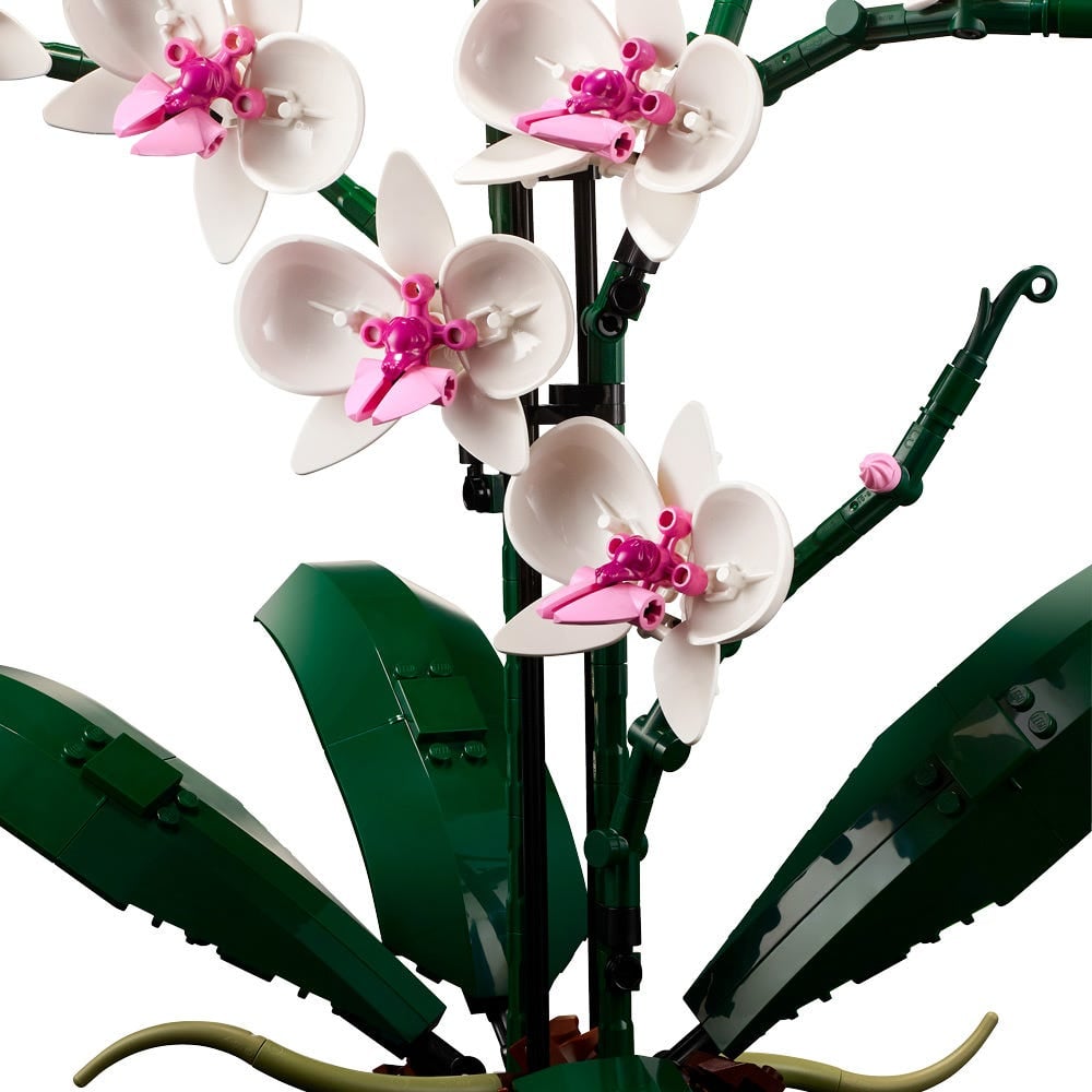 LEGO 10311 ORQUIDEAS - 4