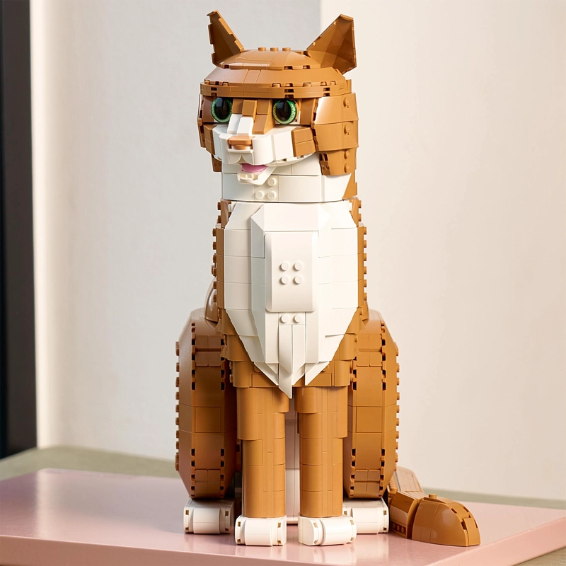 LEGO 21376 GATO NARANJA - 4