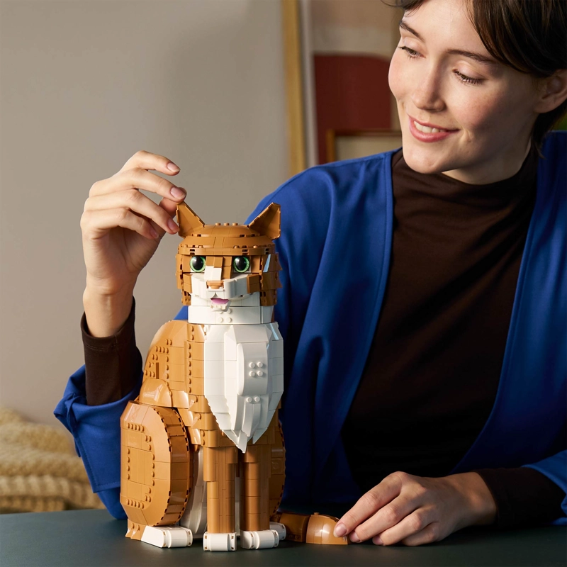 LEGO 21376 GATO NARANJA - 5