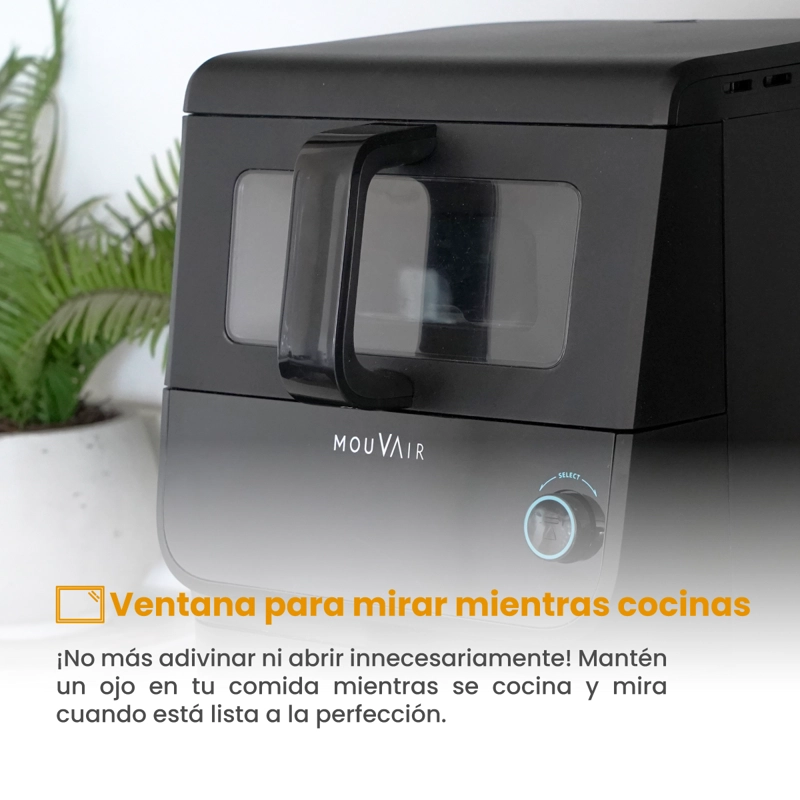 FREIDORA DE AIRE DUO 10L - 3