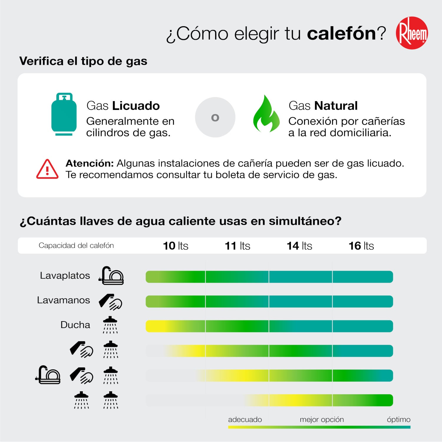 CALEFONT RHEEM 10 LITROS GAS NATURAL TIRO NATURAL - 8