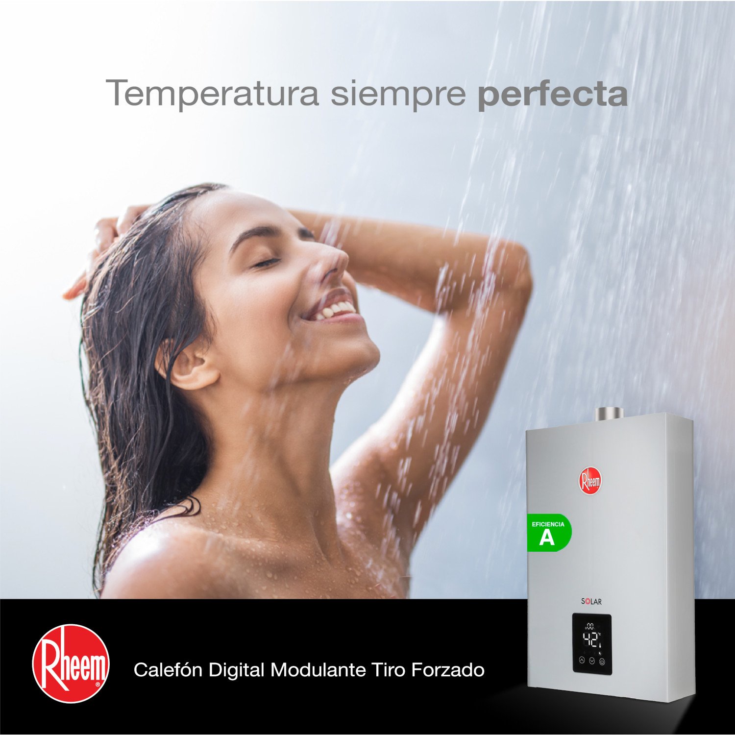 CALEFONT A GAS NATURAL 16 L RHEEM TIRO FORZADO - 6