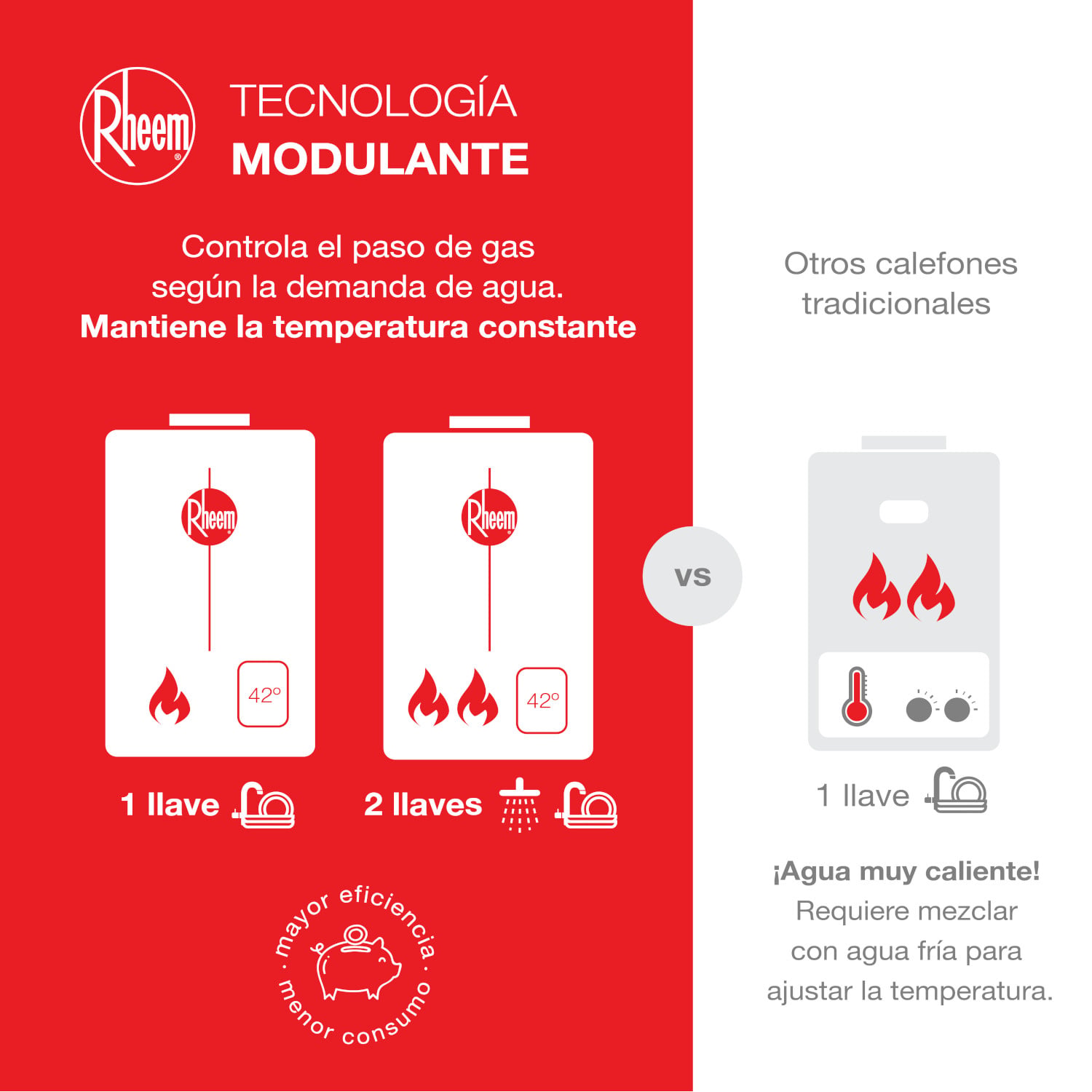 CALEFONT 21 LITROS GAS NATURAL TIRO FORZADO RHEEM - 6