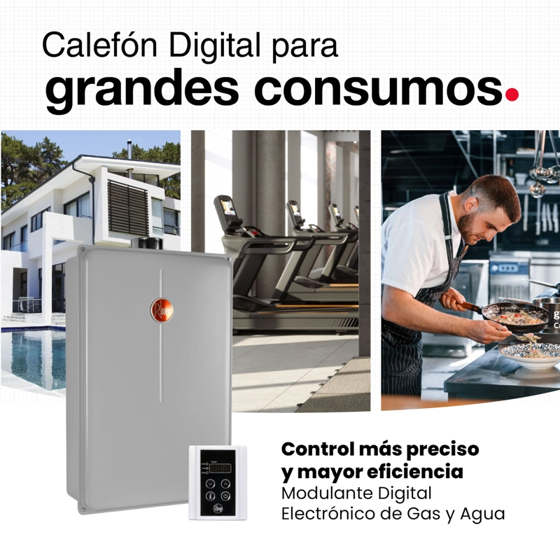 CALEFONT 28 LITROS GAS LICUADO TIRO FORZADO RHEEM - 10