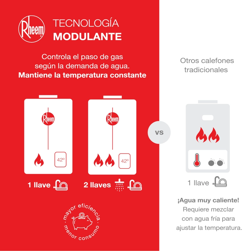 CALEFONT 18 LITROS GAS NATURAL TIRO FORZADO RHEEM - 7