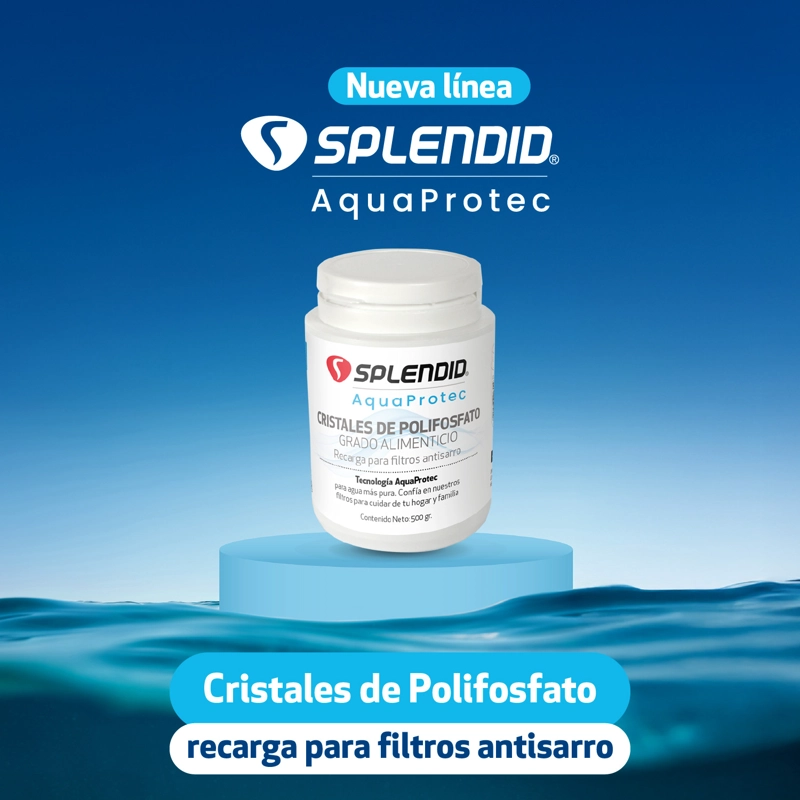 RECARGA POLIFOSFATO 500 G PARA FILTRO ANTISARRO SPLENDID - 2