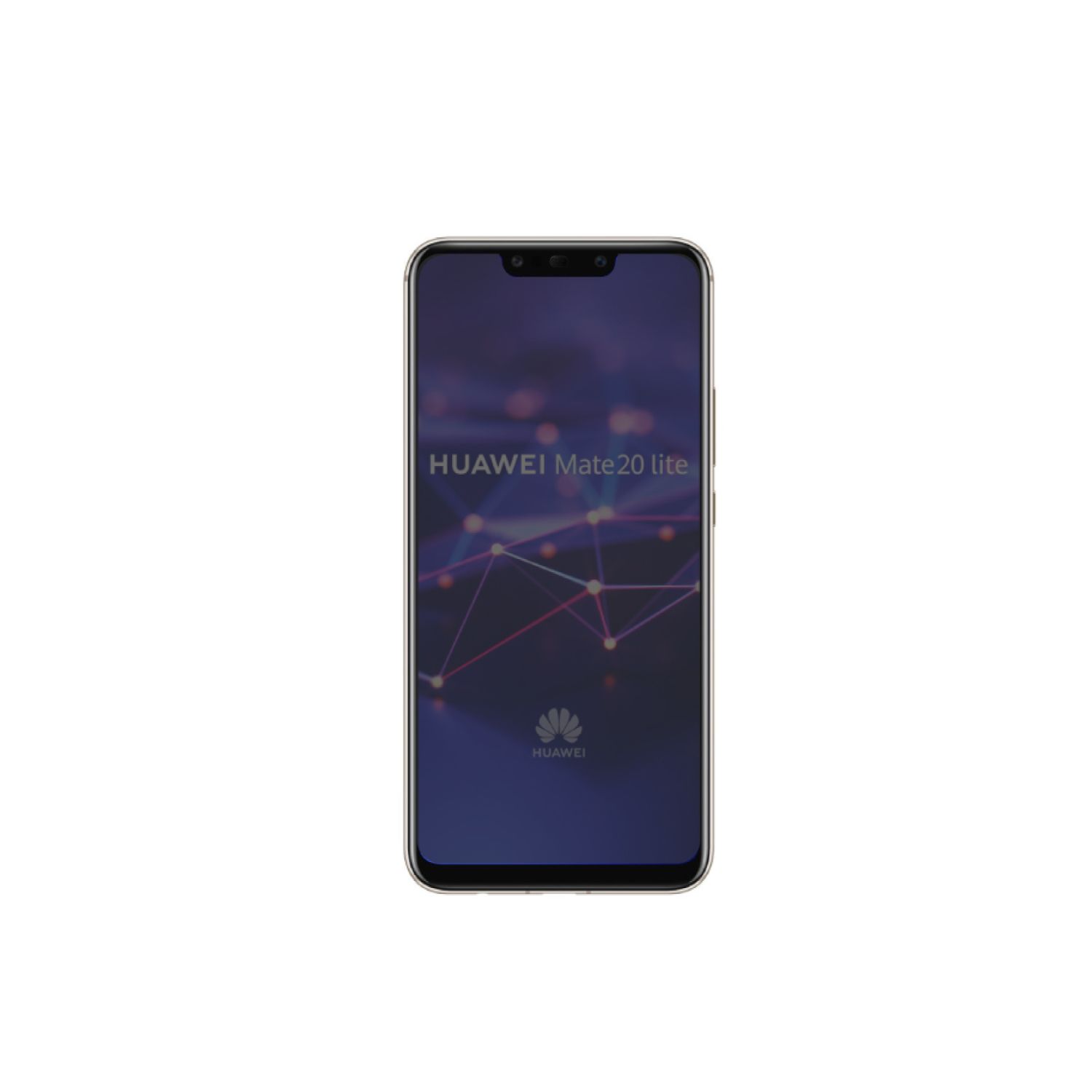 967623_6