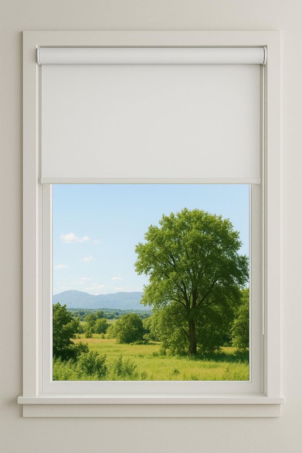 CORTINA ROLLER BLACKOUT 165X180 - 1